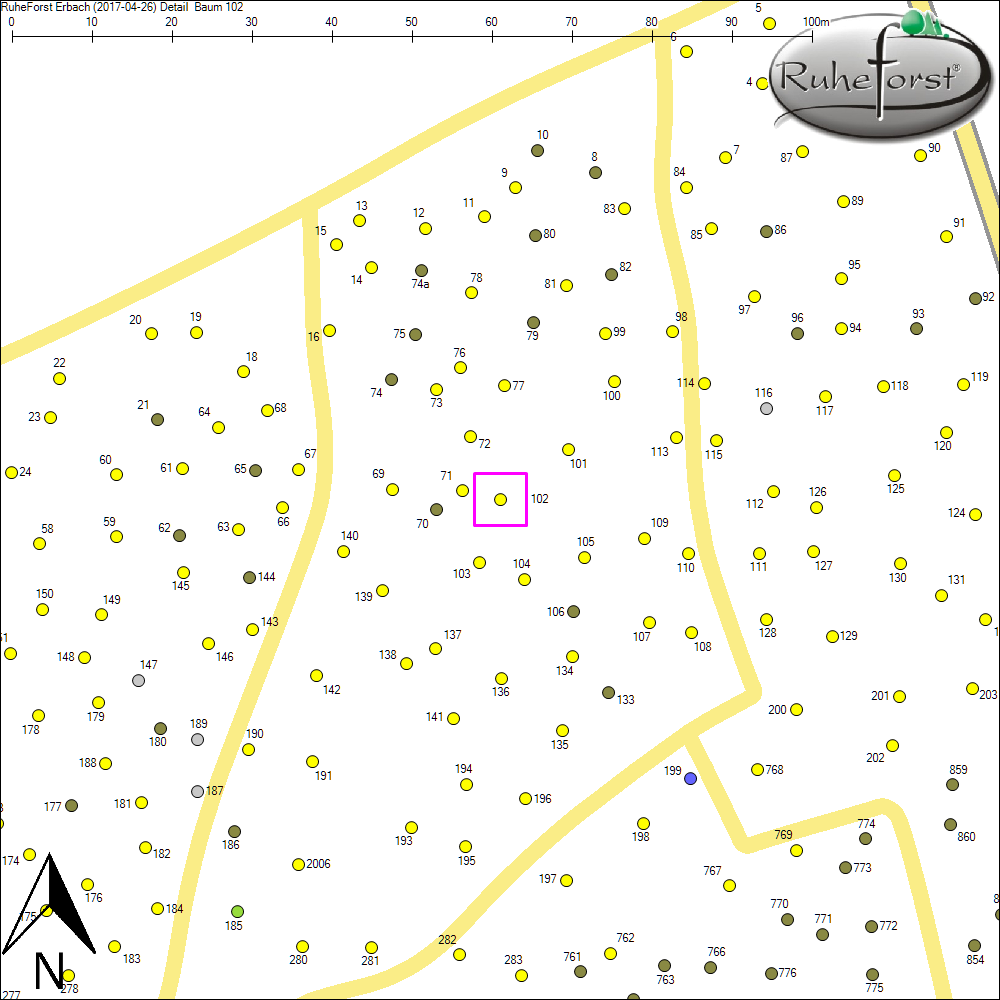 Detailkarte zu Baum 102