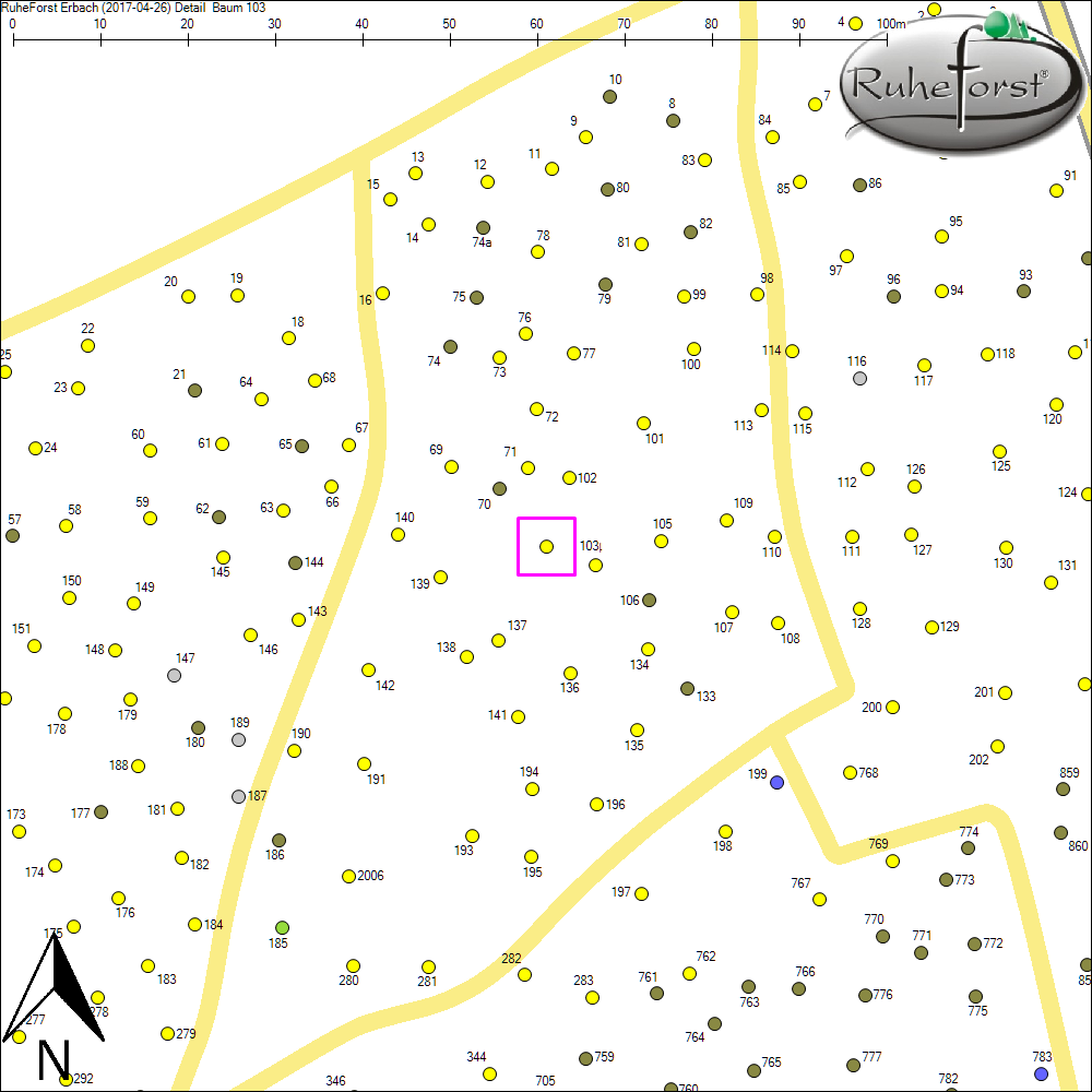 Detailkarte zu Baum 103
