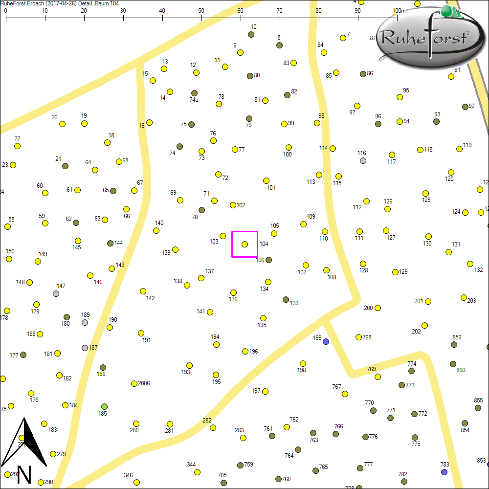 Detailkarte zu Baum 104