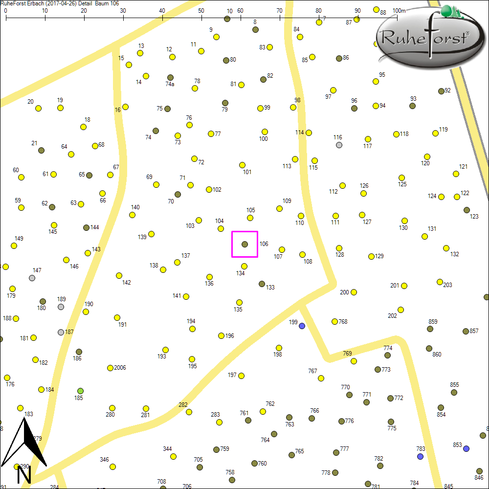 Detailkarte zu Baum 106