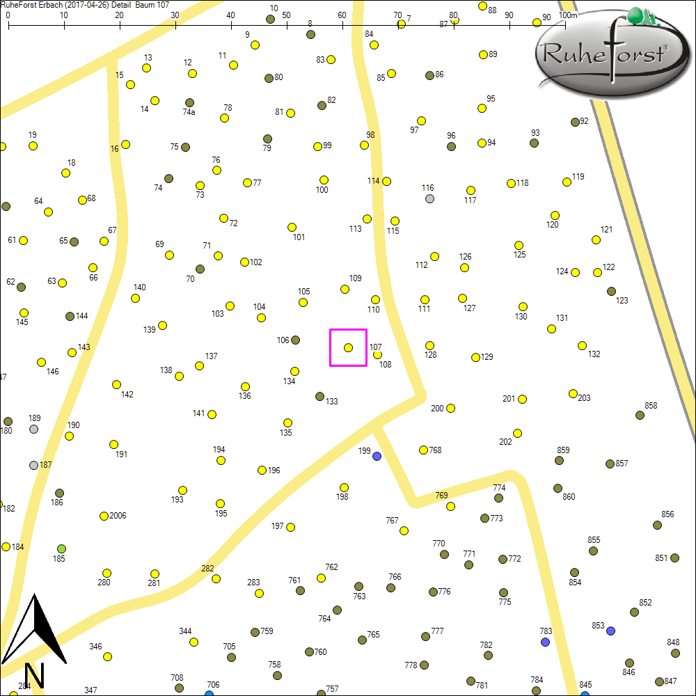 Detailkarte zu Baum 107