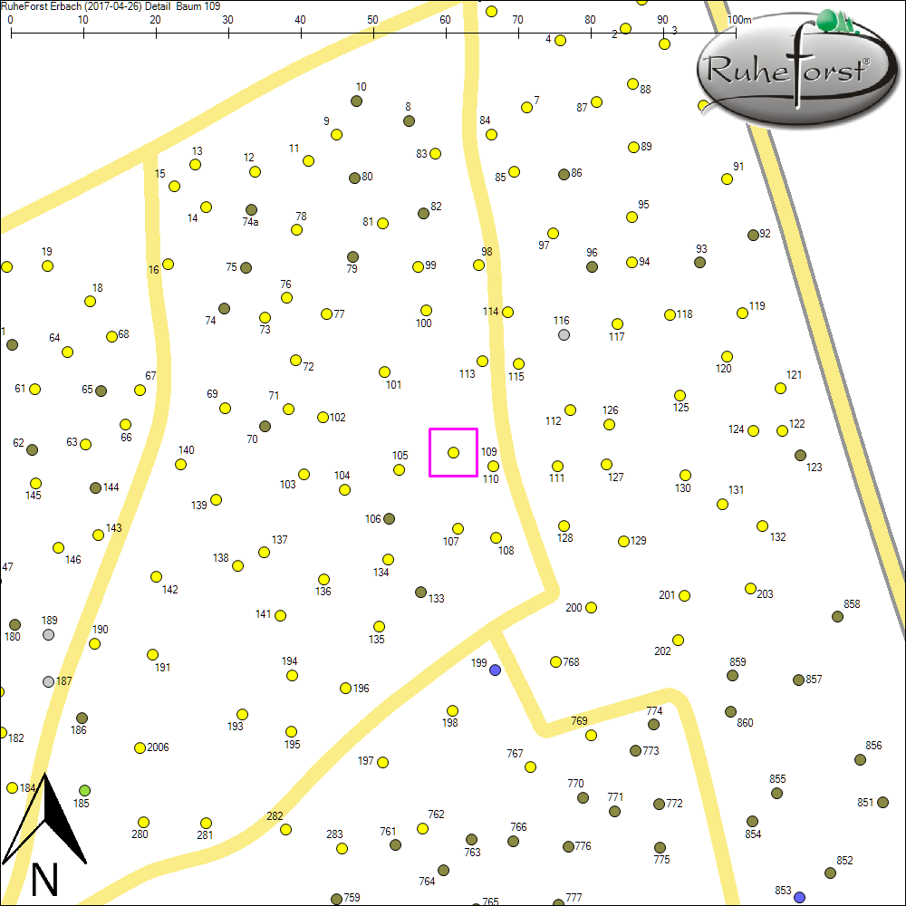 Detailkarte zu Baum 109