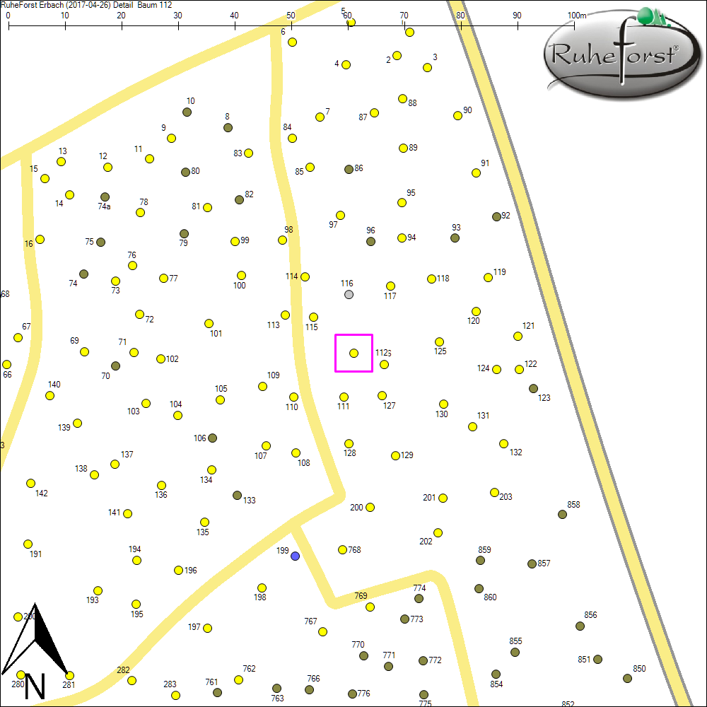 Detailkarte zu Baum 112