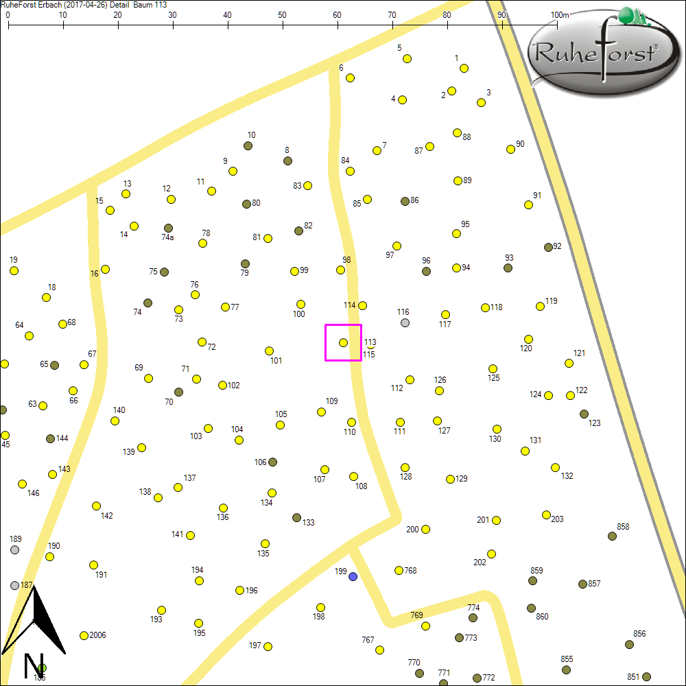 Detailkarte zu Baum 113