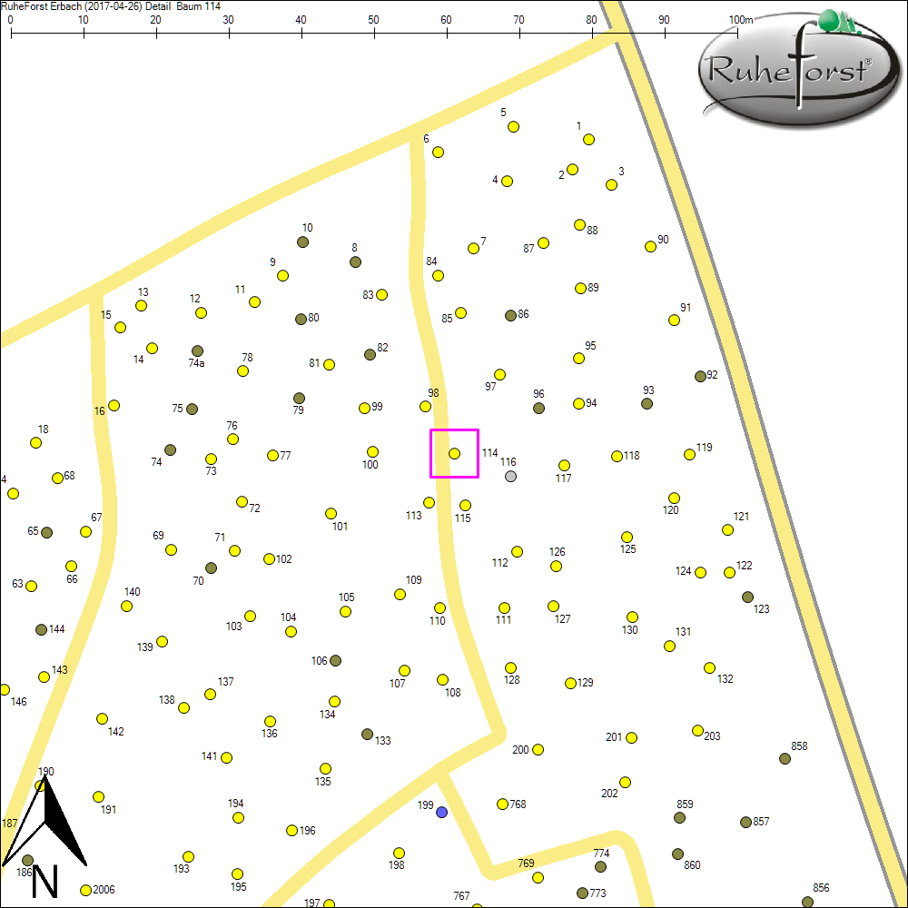 Detailkarte zu Baum 114