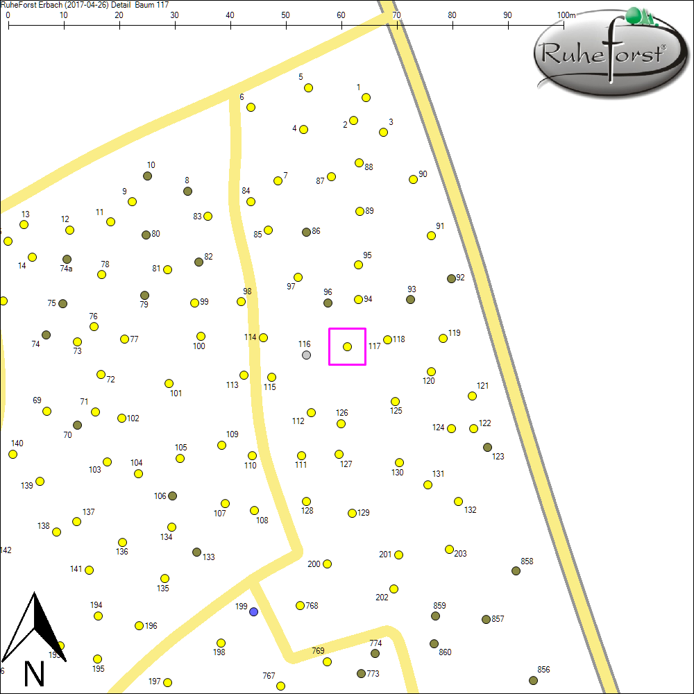 Detailkarte zu Baum 117