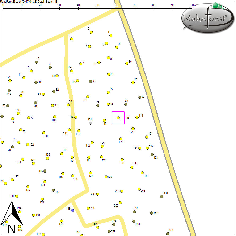 Detailkarte zu Baum 118
