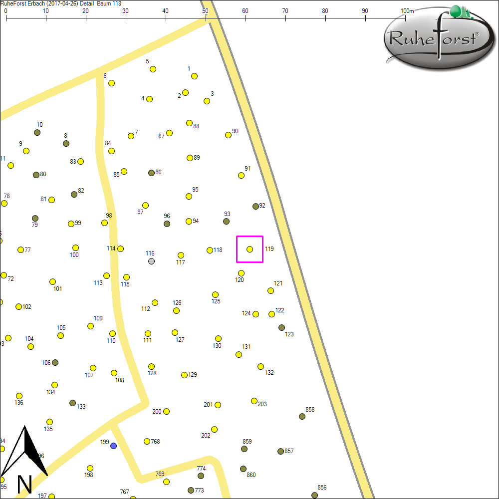 Detailkarte zu Baum 119