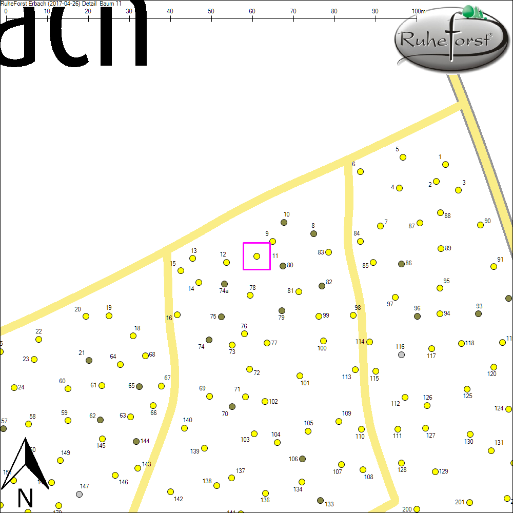 Detailkarte zu Baum 11