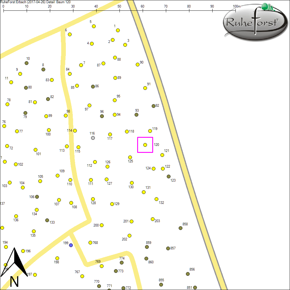 Detailkarte zu Baum 120
