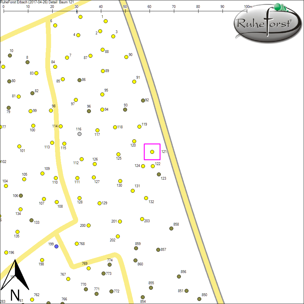 Detailkarte zu Baum 121