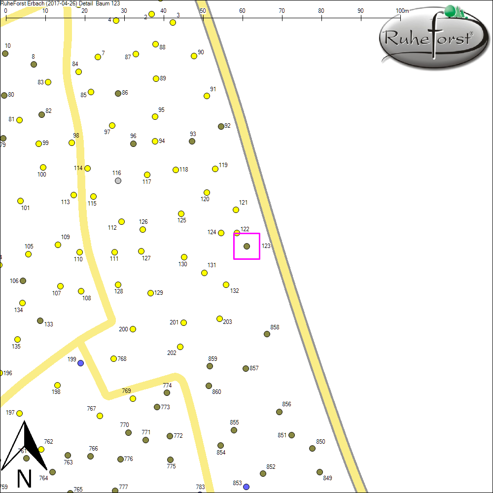 Detailkarte zu Baum 123
