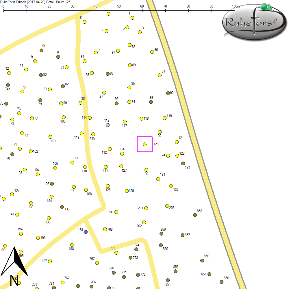 Detailkarte zu Baum 125