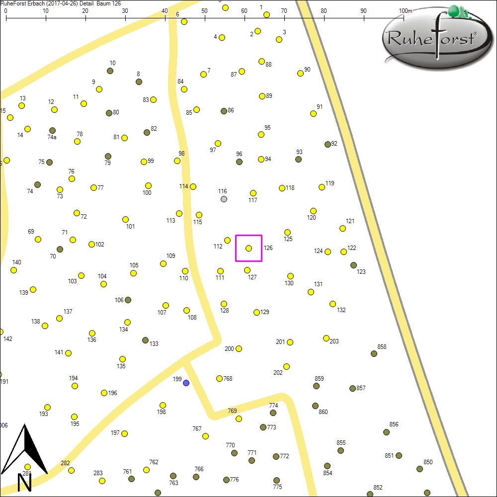 Detailkarte zu Baum 126