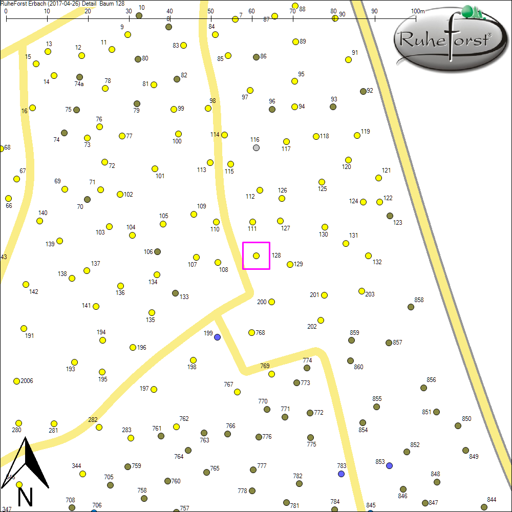 Detailkarte zu Baum 128