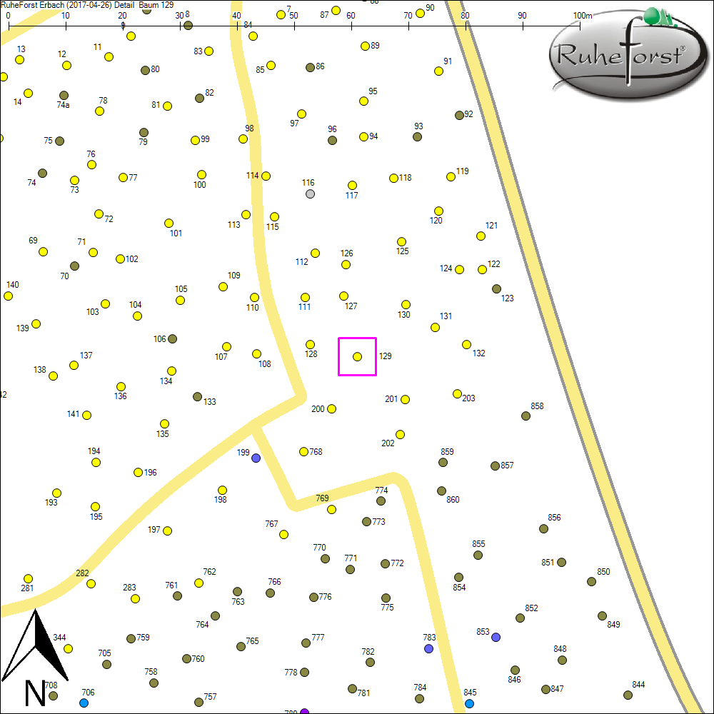 Detailkarte zu Baum 129