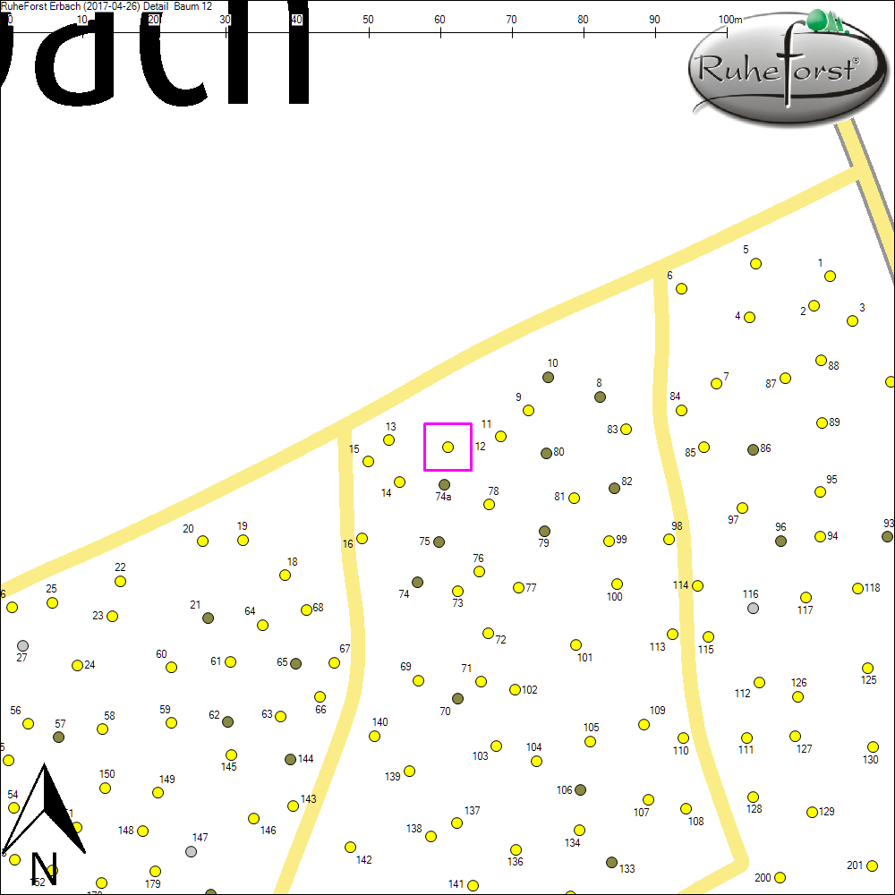 Detailkarte zu Baum 12