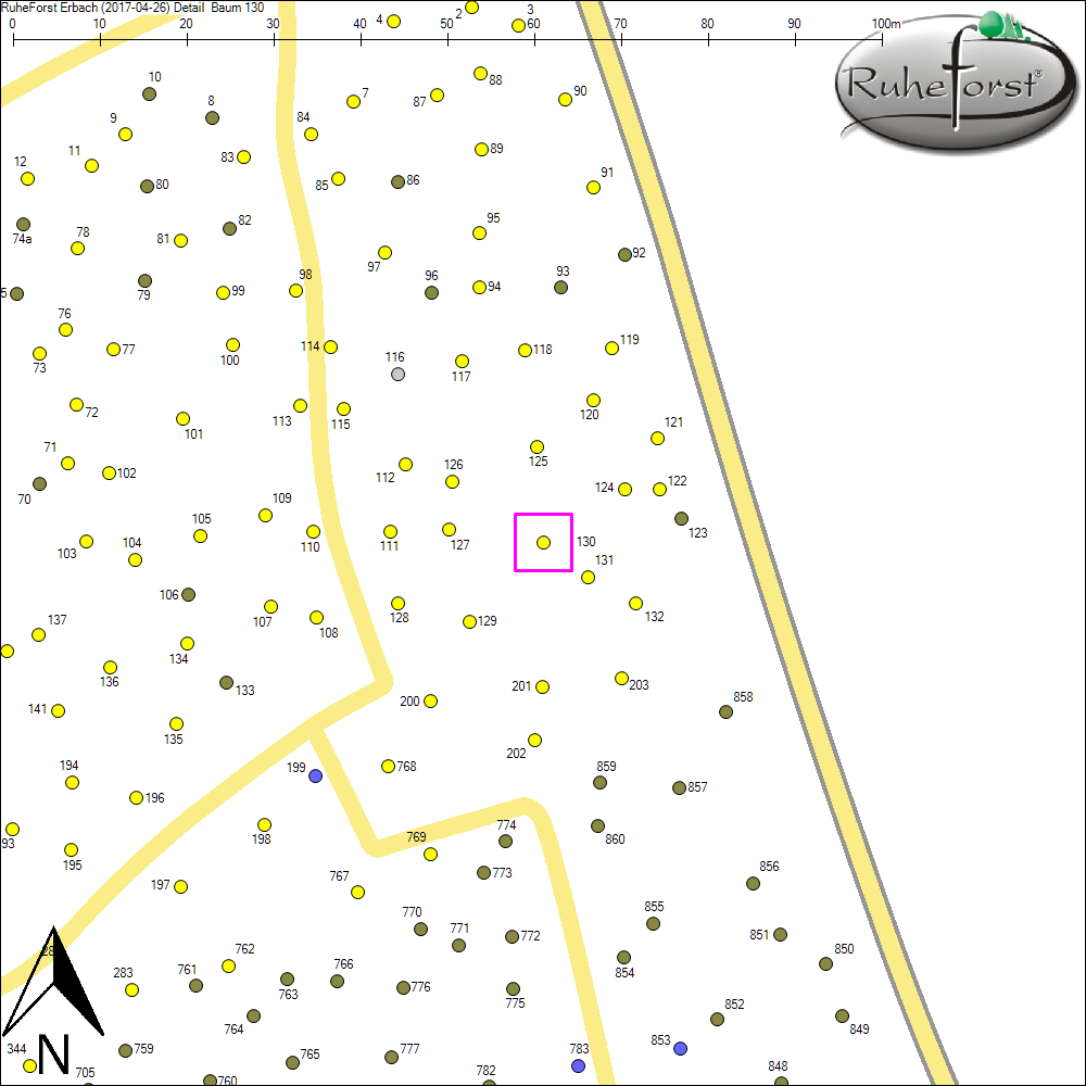 Detailkarte zu Baum 130