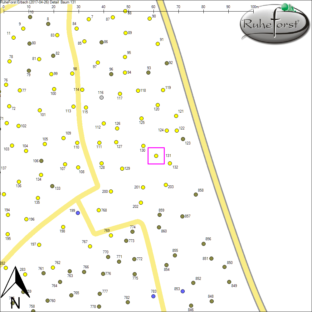Detailkarte zu Baum 131