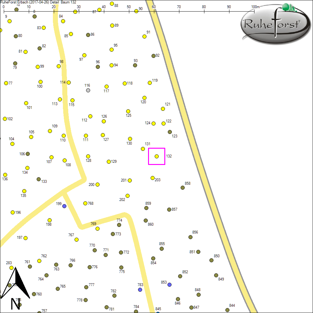 Detailkarte zu Baum 132