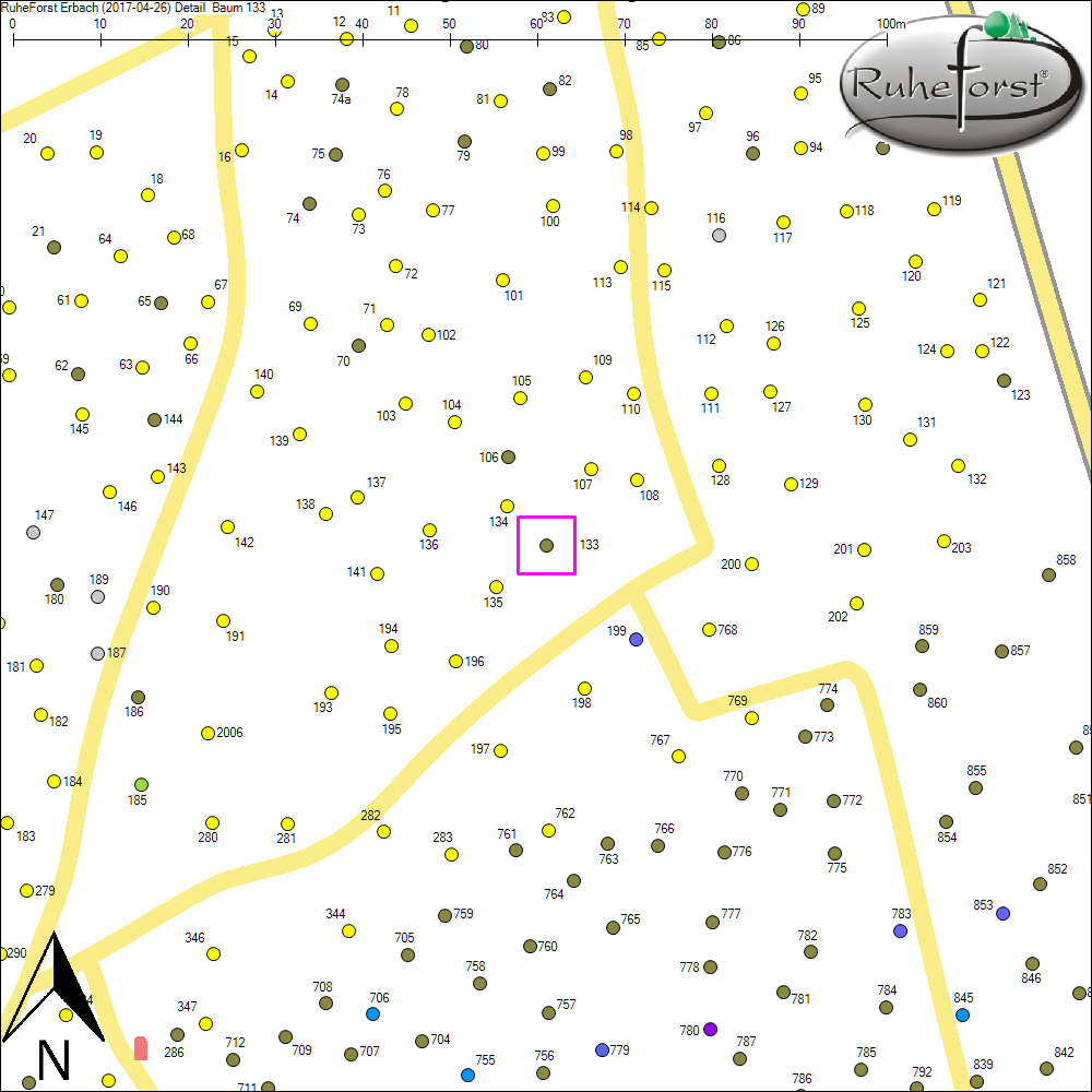 Detailkarte zu Baum 133