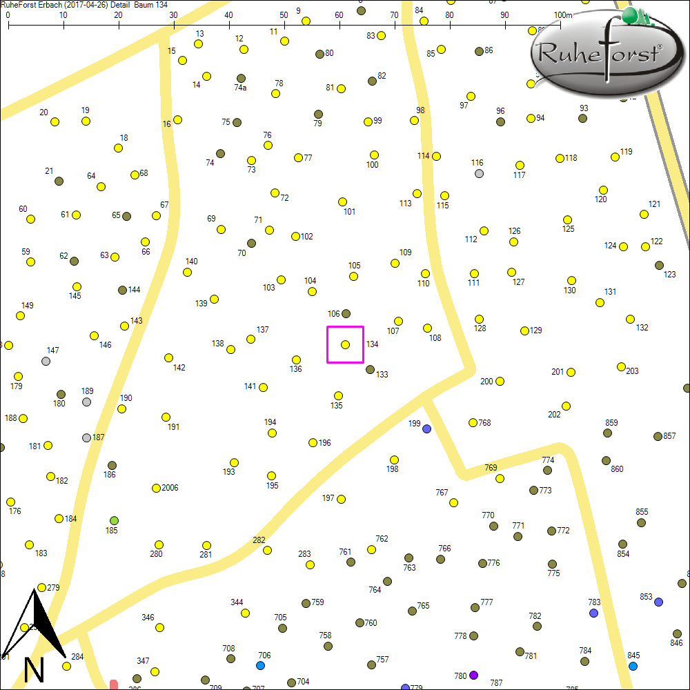 Detailkarte zu Baum 134