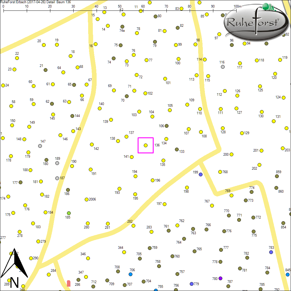 Detailkarte zu Baum 136