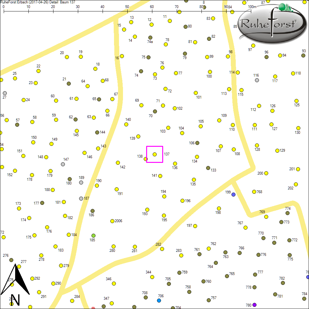 Detailkarte zu Baum 137