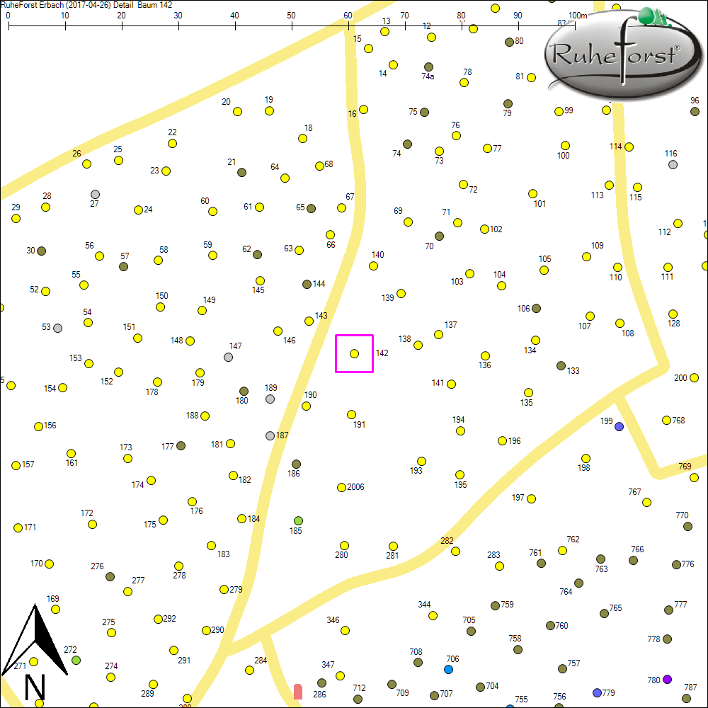 Detailkarte zu Baum 142