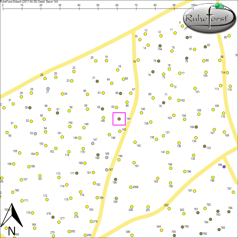 Detailkarte zu Baum 144