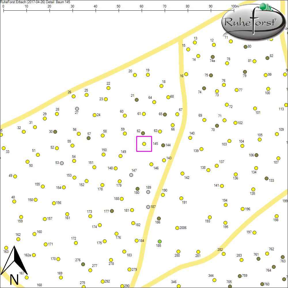 Detailkarte zu Baum 145