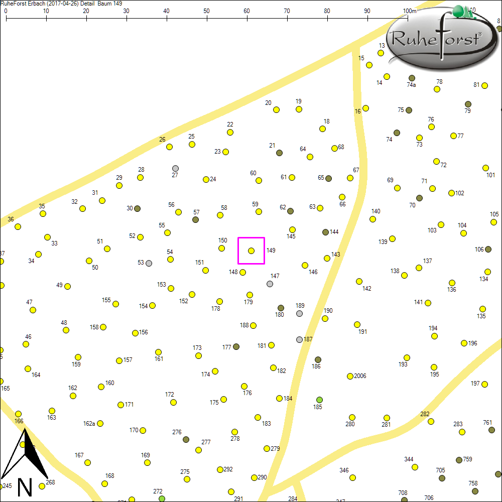 Detailkarte zu Baum 149