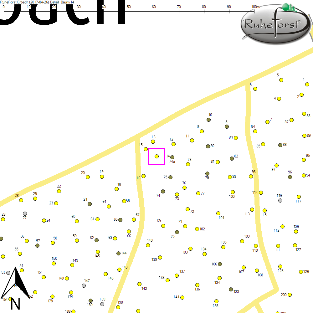 Detailkarte zu Baum 14