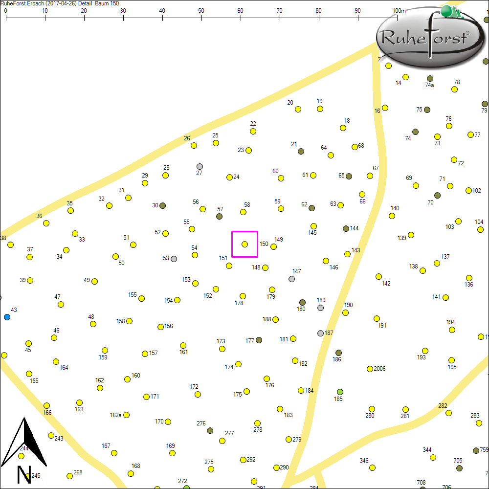 Detailkarte zu Baum 150