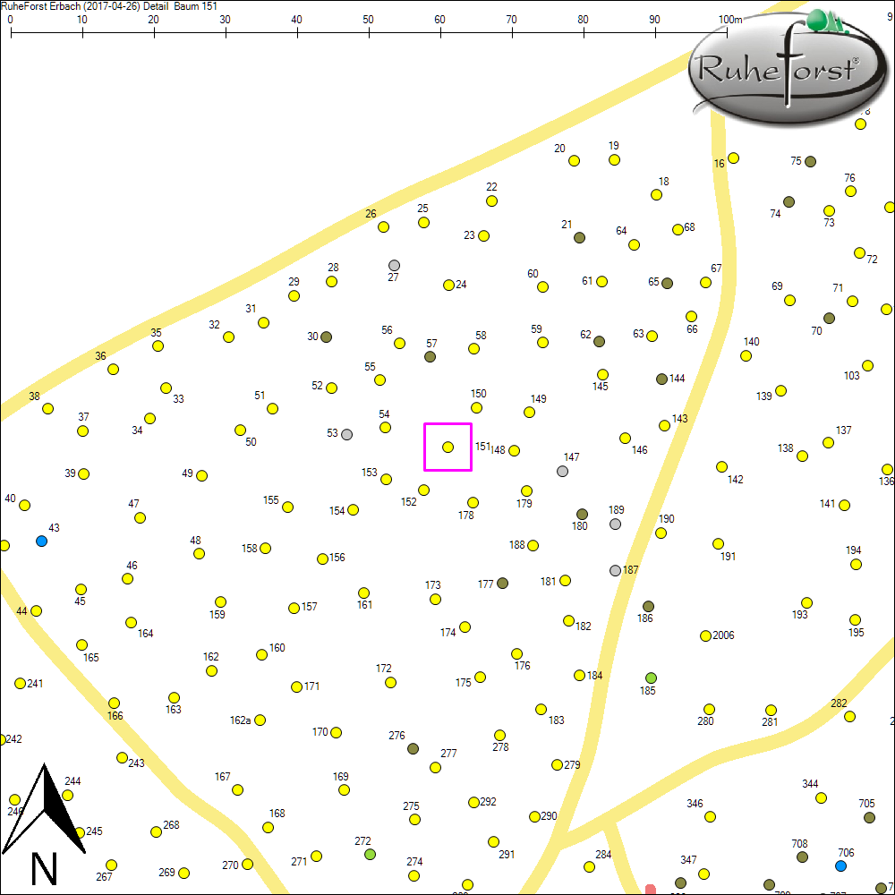 Detailkarte zu Baum 151