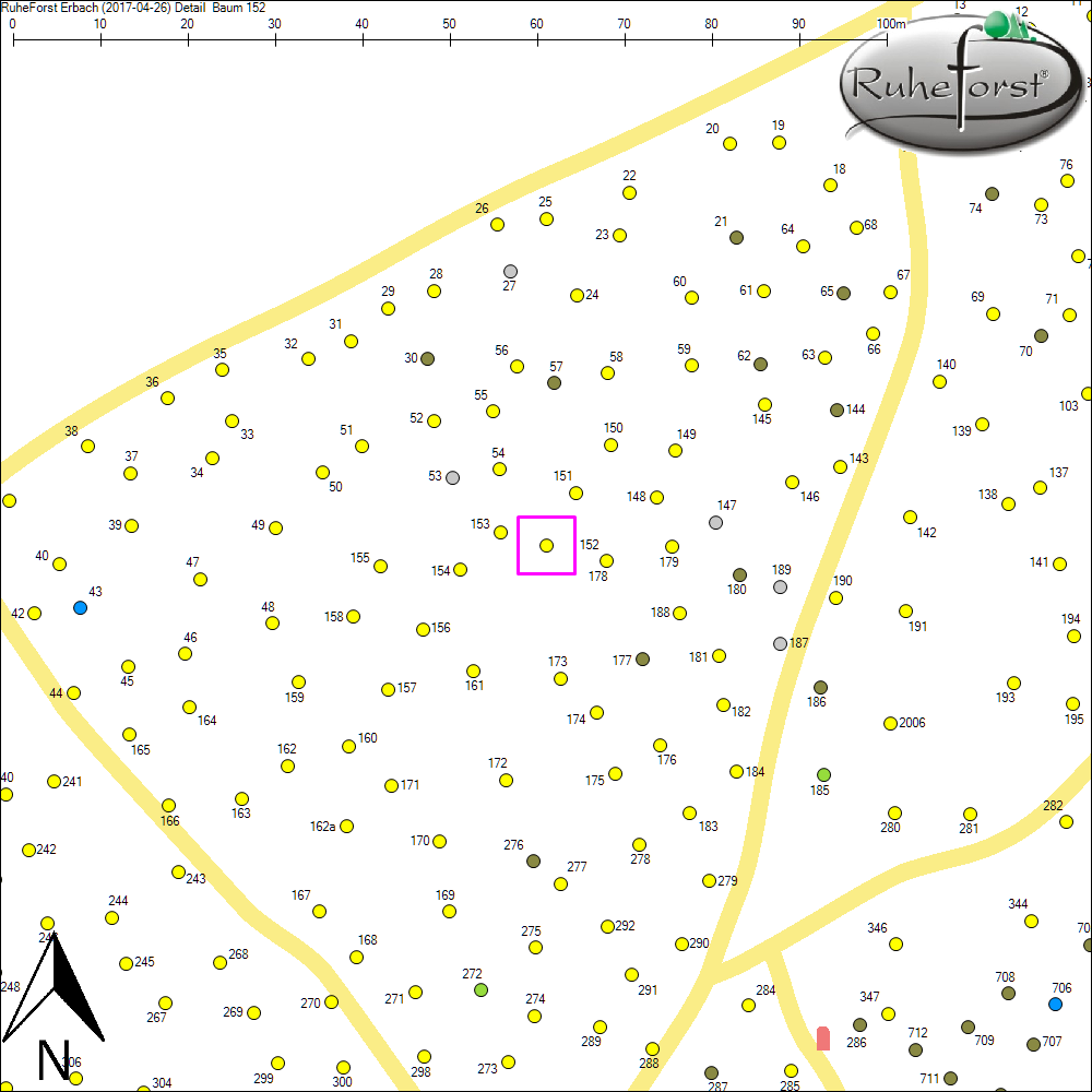 Detailkarte zu Baum 152