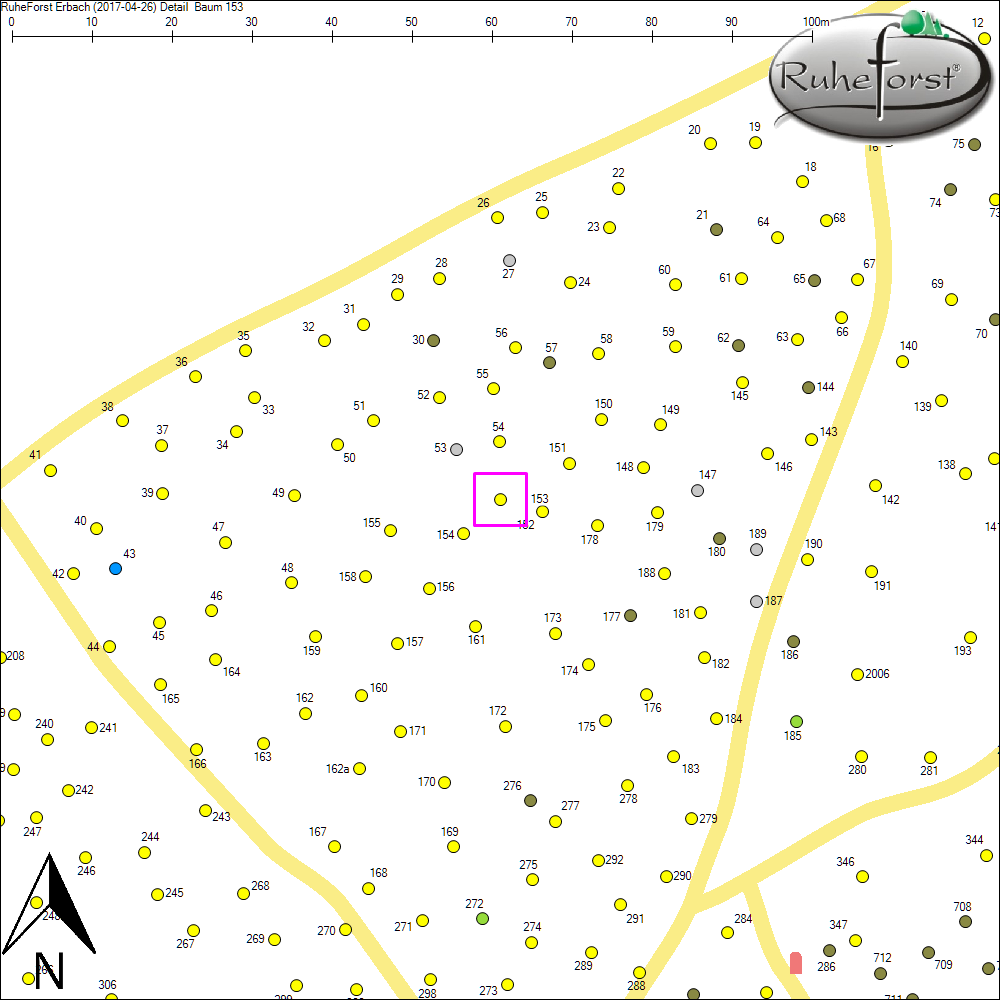 Detailkarte zu Baum 153