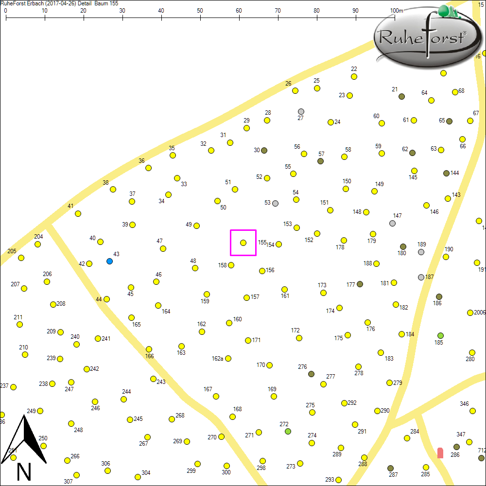 Detailkarte zu Baum 155