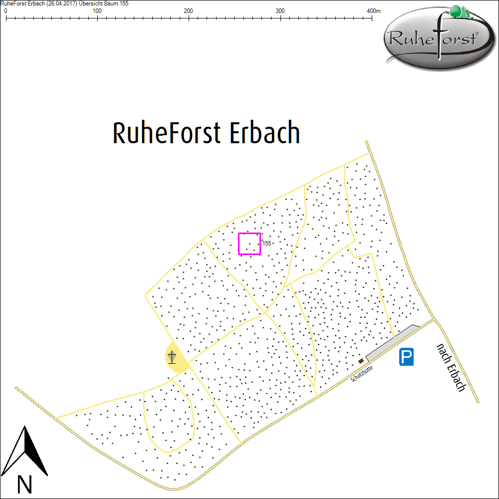 &Uuml;bersichtskarte zu Baum 155