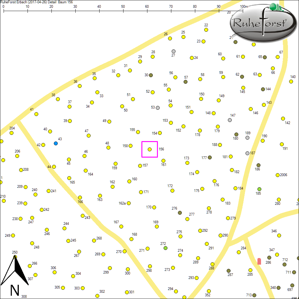 Detailkarte zu Baum 156
