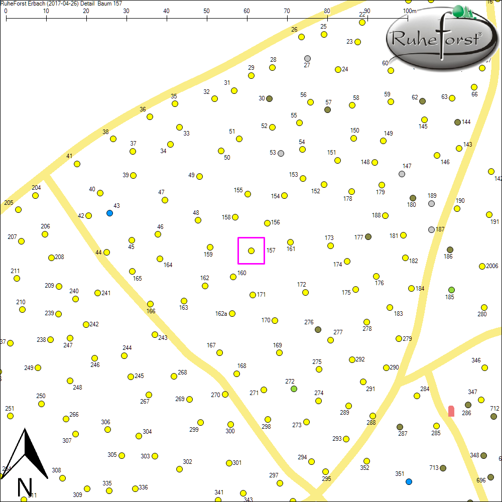 Detailkarte zu Baum 157