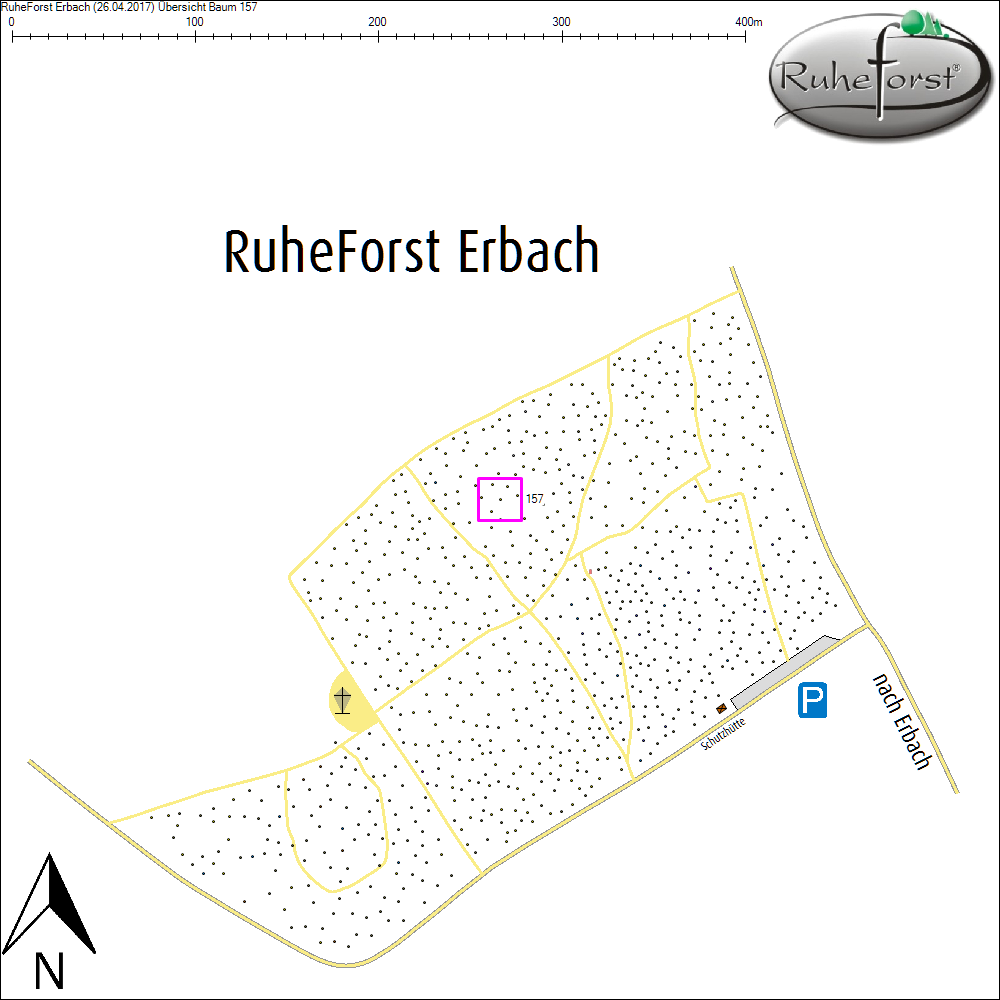 &Uuml;bersichtskarte zu Baum 157