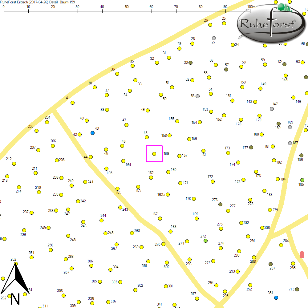Detailkarte zu Baum 159