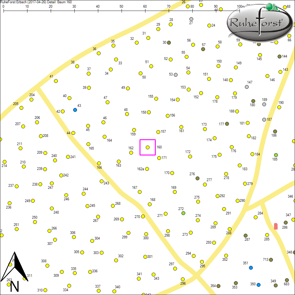 Detailkarte zu Baum 160
