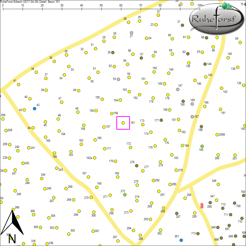 Detailkarte zu Baum 161