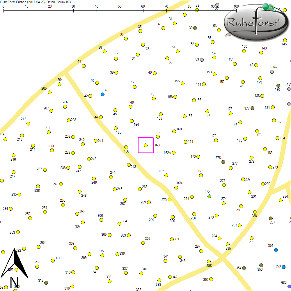 Detailkarte zu Baum 163