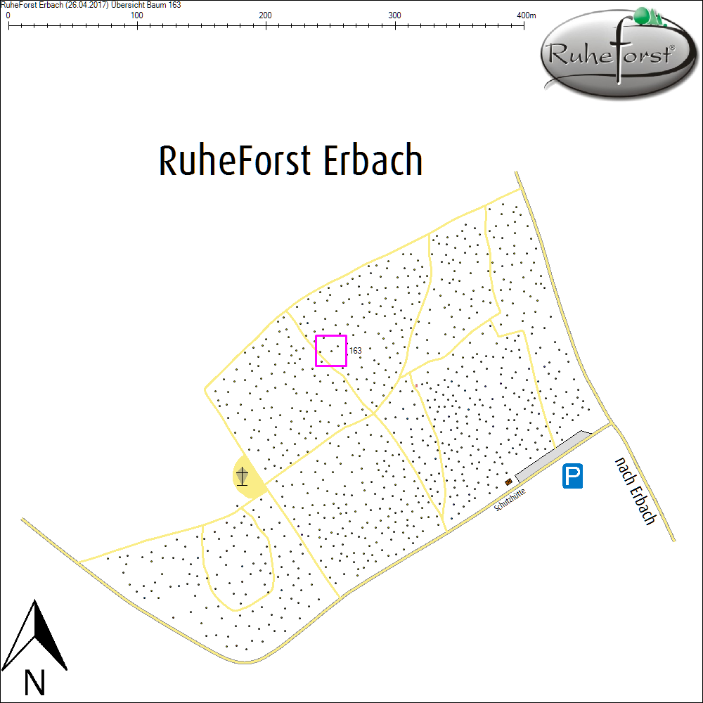 &Uuml;bersichtskarte zu Baum 163