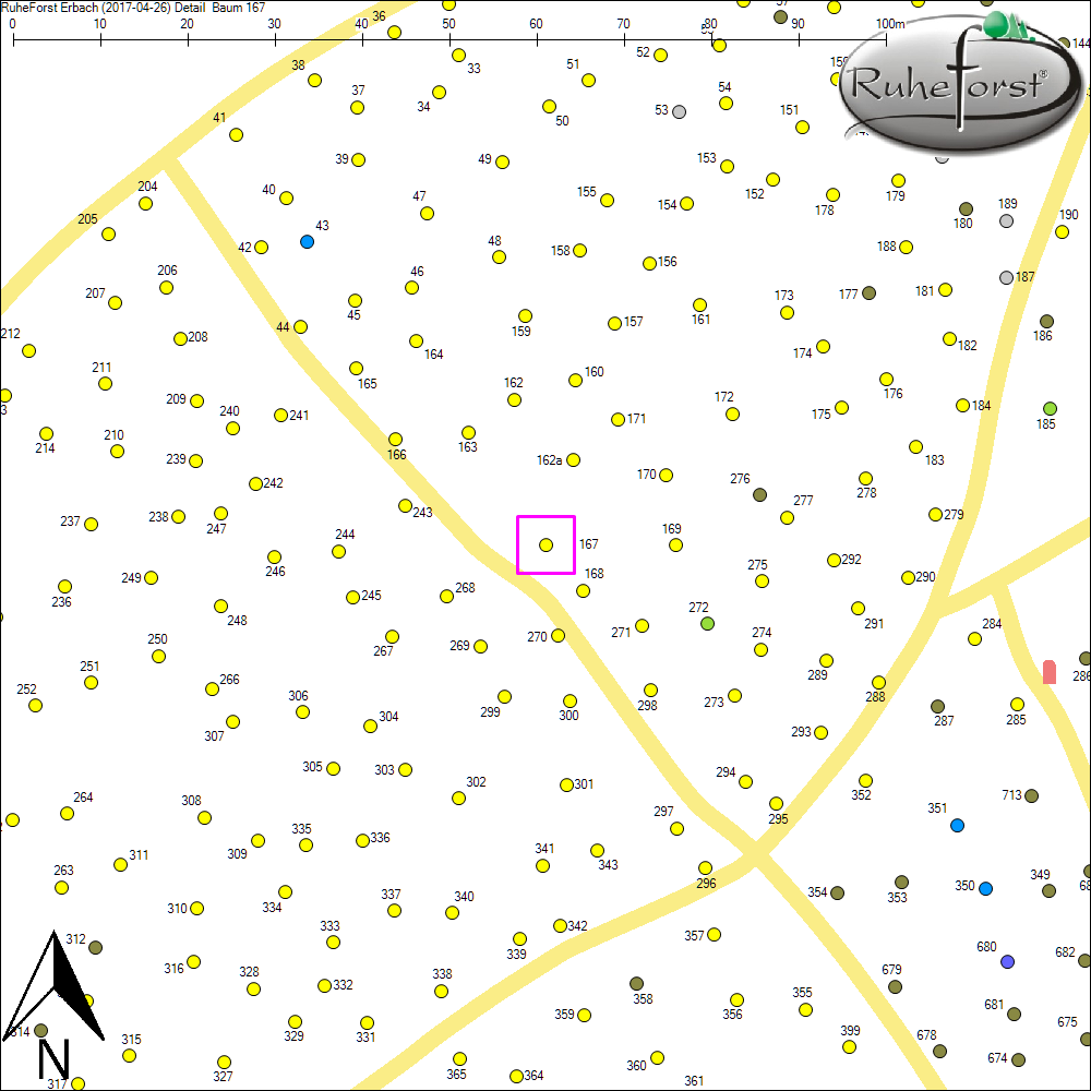 Detailkarte zu Baum 167