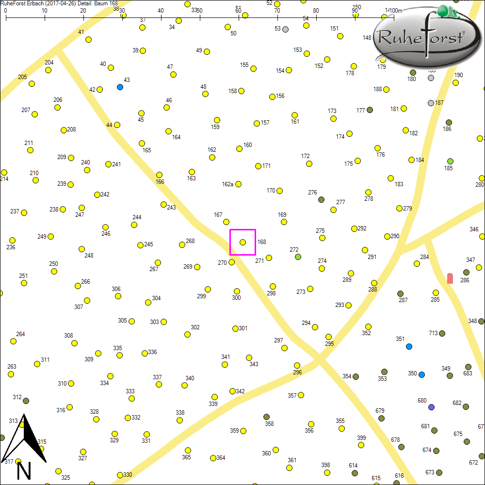 Detailkarte zu Baum 168