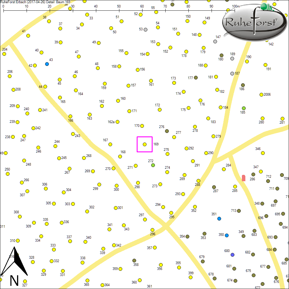 Detailkarte zu Baum 169